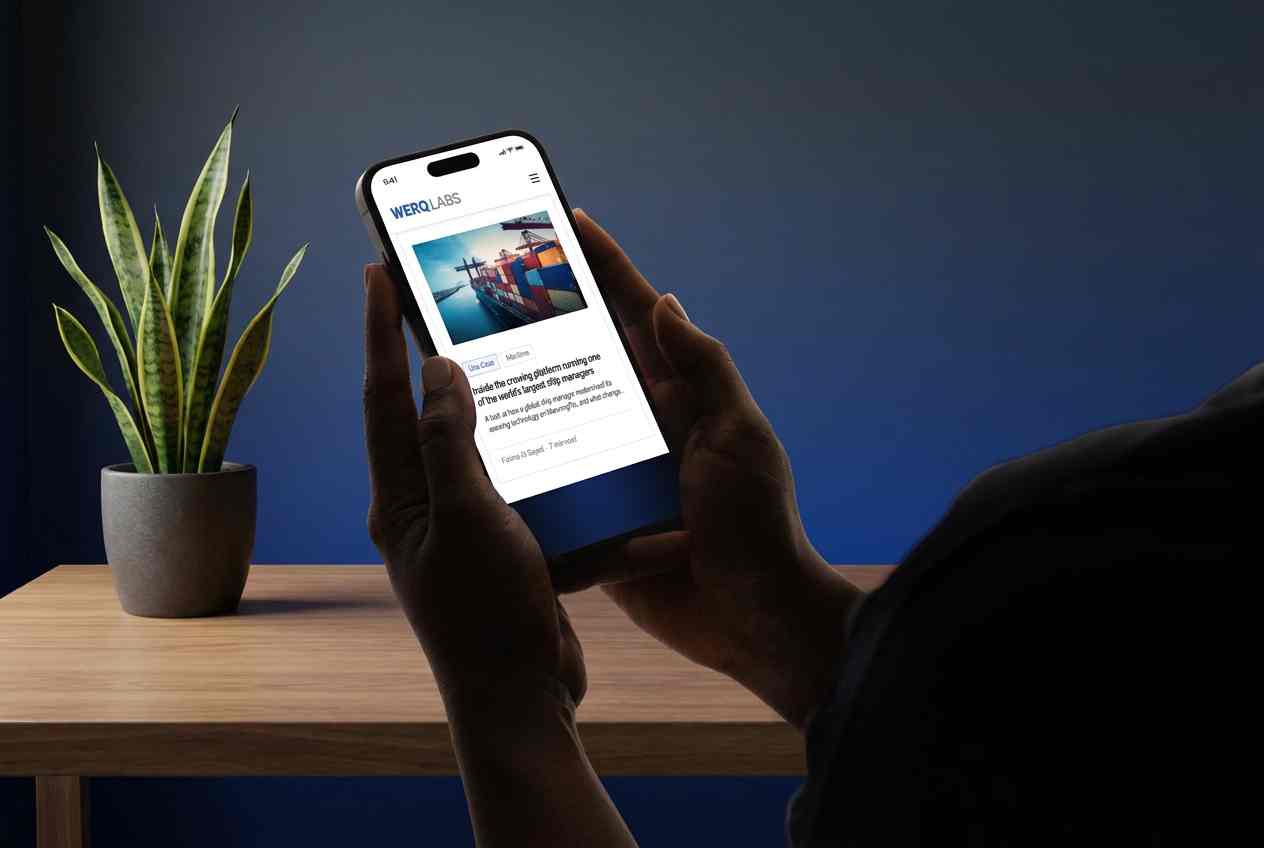 WerqLabs Use Cases — real engagements, real outcomes